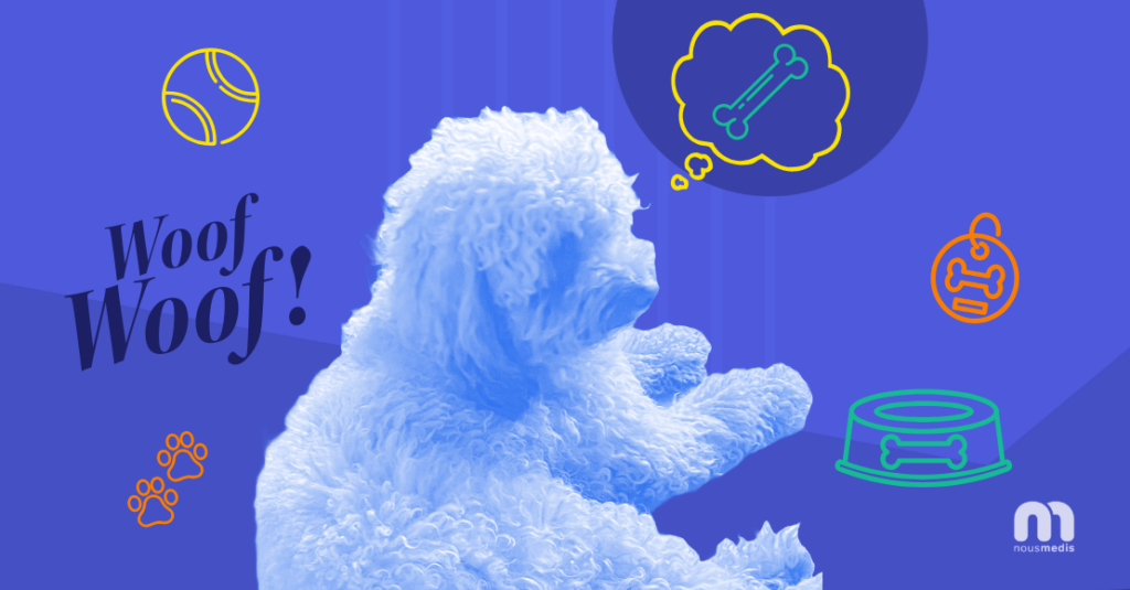 Pet-friendly office: Nugget.